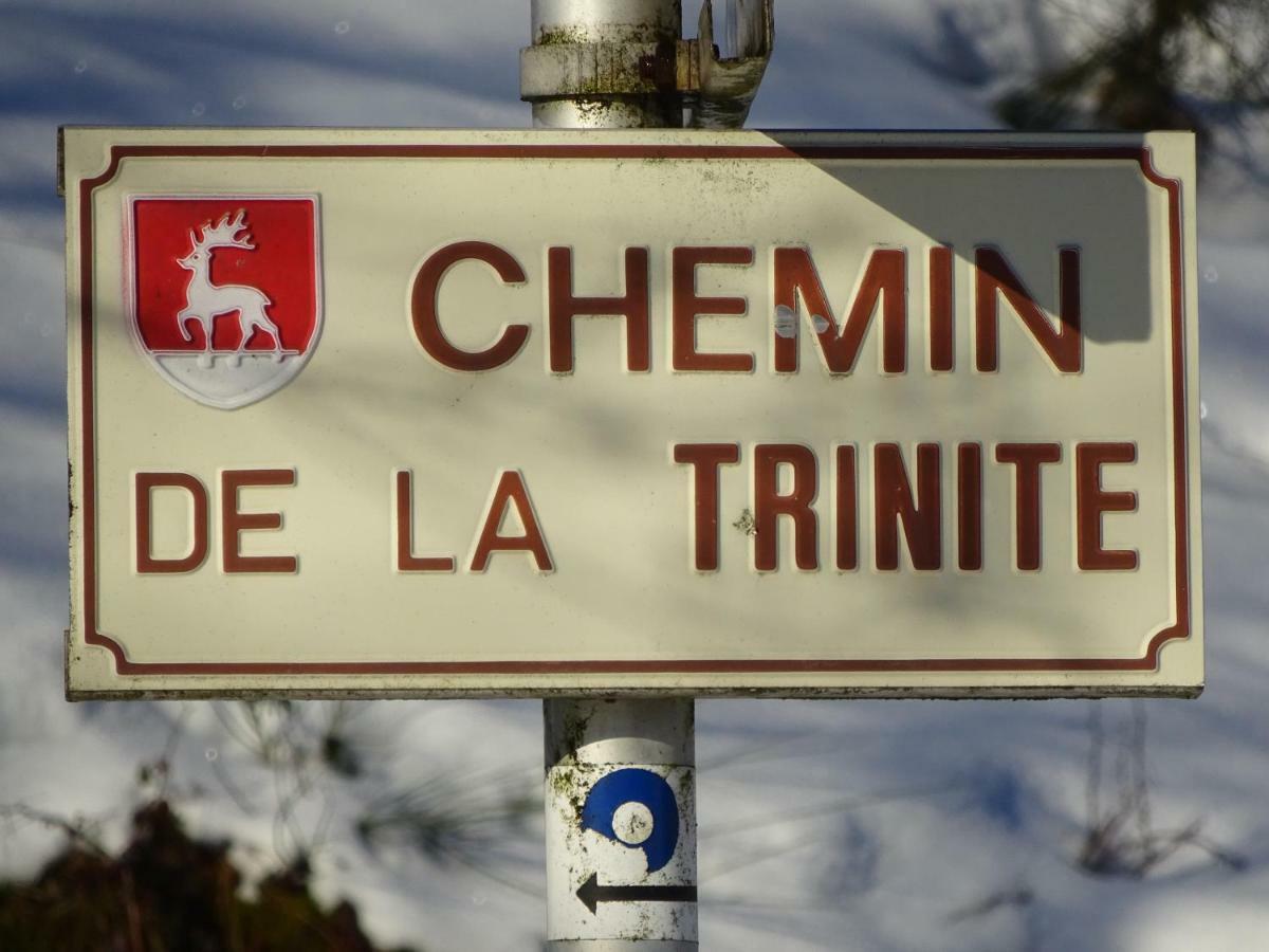 Chalet La Petite Perle ジェラールメ エクステリア 写真